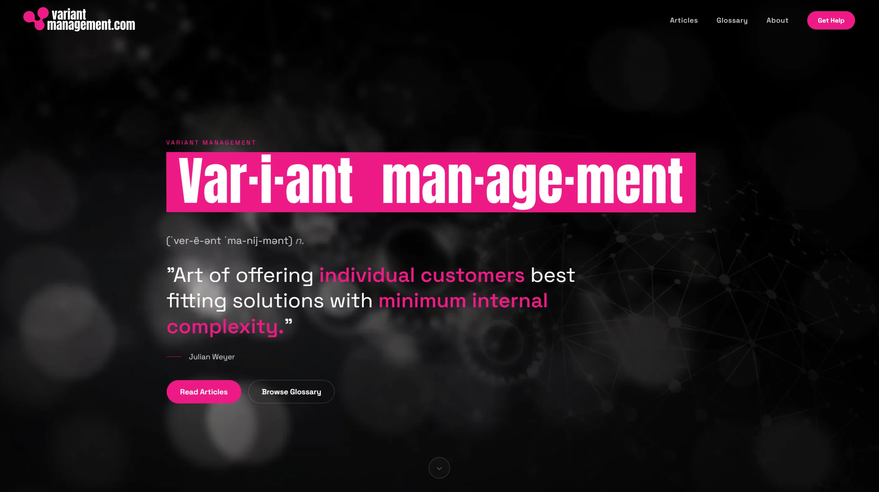 Startseite von variantmanagement.com — Wörterbuch-Hero zum Begriff Variant Management